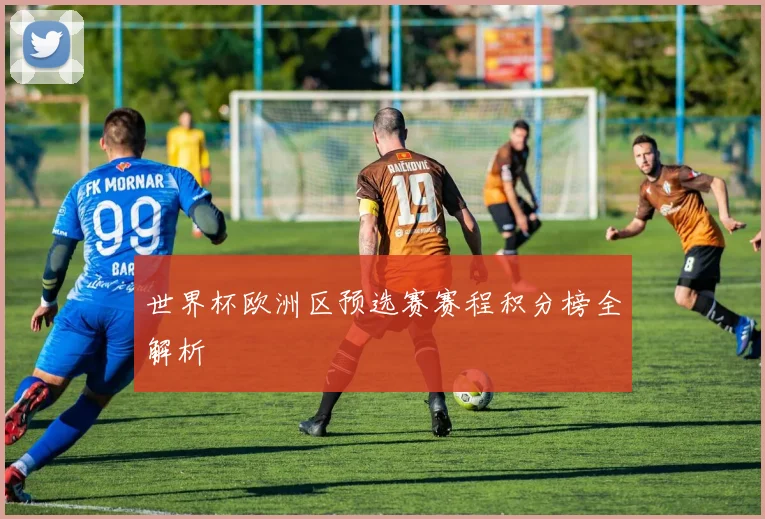 世界杯欧洲区预选赛赛程积分榜全解析