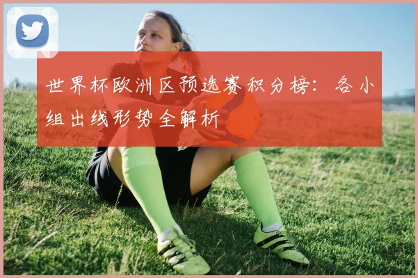 世界杯欧洲区预选赛积分榜：各小组出线形势全解析