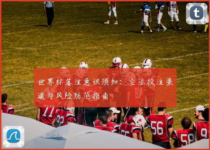 世界杯落注意识须知：合法投注渠道与风险防范指南