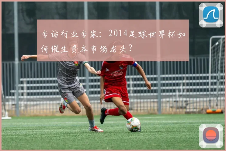 专访行业专家：2014足球世界杯如何催生资本市场龙头？
