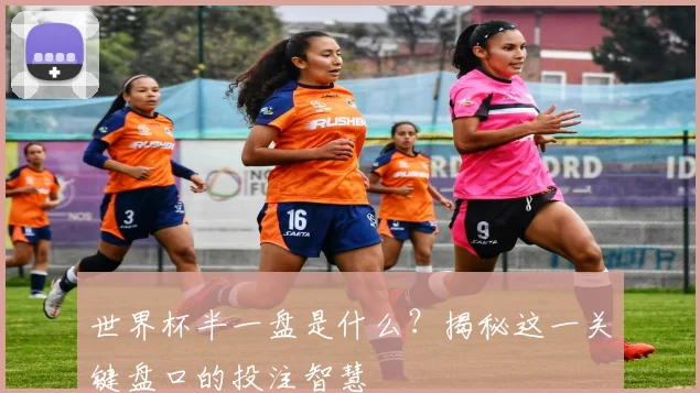 世界杯半一盘是什么?揭秘这一关键盘口的投注智慧