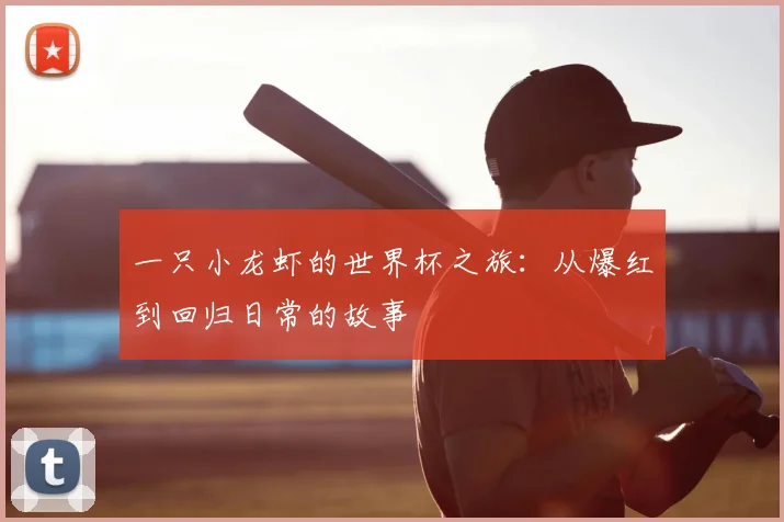一只小龙虾的世界杯之旅:从爆红到回归日常的故事
