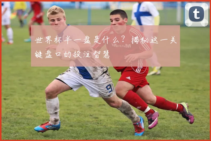 世界杯半一盘是什么?揭秘这一关键盘口的投注智慧