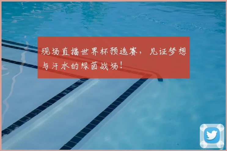 现场直播世界杯预选赛,见证梦想与汗水的绿茵战场!