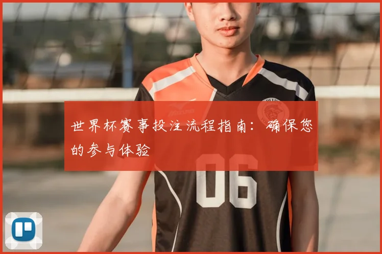 世界杯赛事投注流程指南:确保您的参与体验
