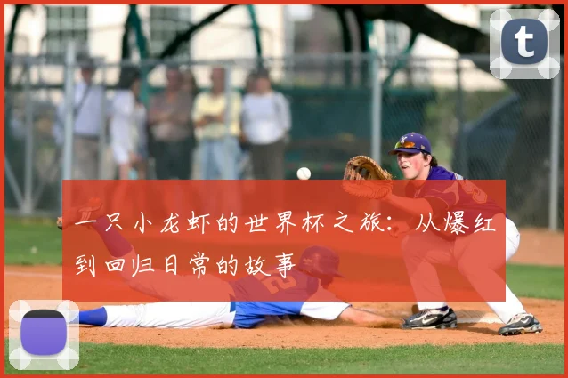 一只小龙虾的世界杯之旅:从爆红到回归日常的故事