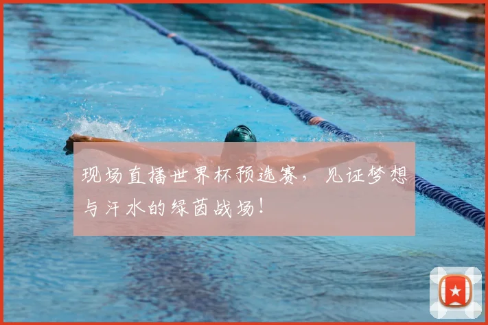 现场直播世界杯预选赛,见证梦想与汗水的绿茵战场!