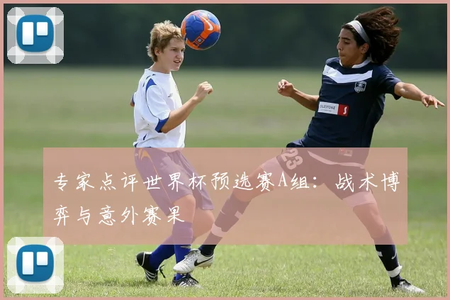 专家点评世界杯预选赛A组:战术博弈与意外赛果