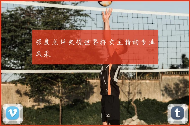 深度点评央视世界杯女主持的专业风采