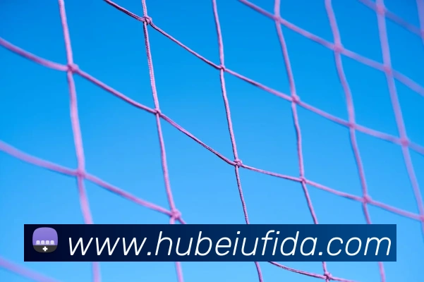 世界杯官方app发展历程